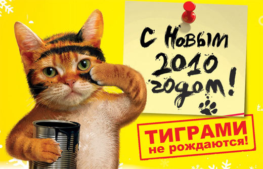 novii_2010_god.jpg