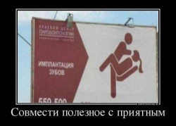1413960645_demy.jpg