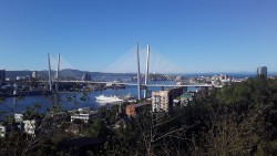 20230929_094203.jpg